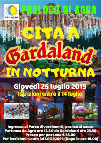 25 luglio 2019 - Gita a Gardaland in notturna